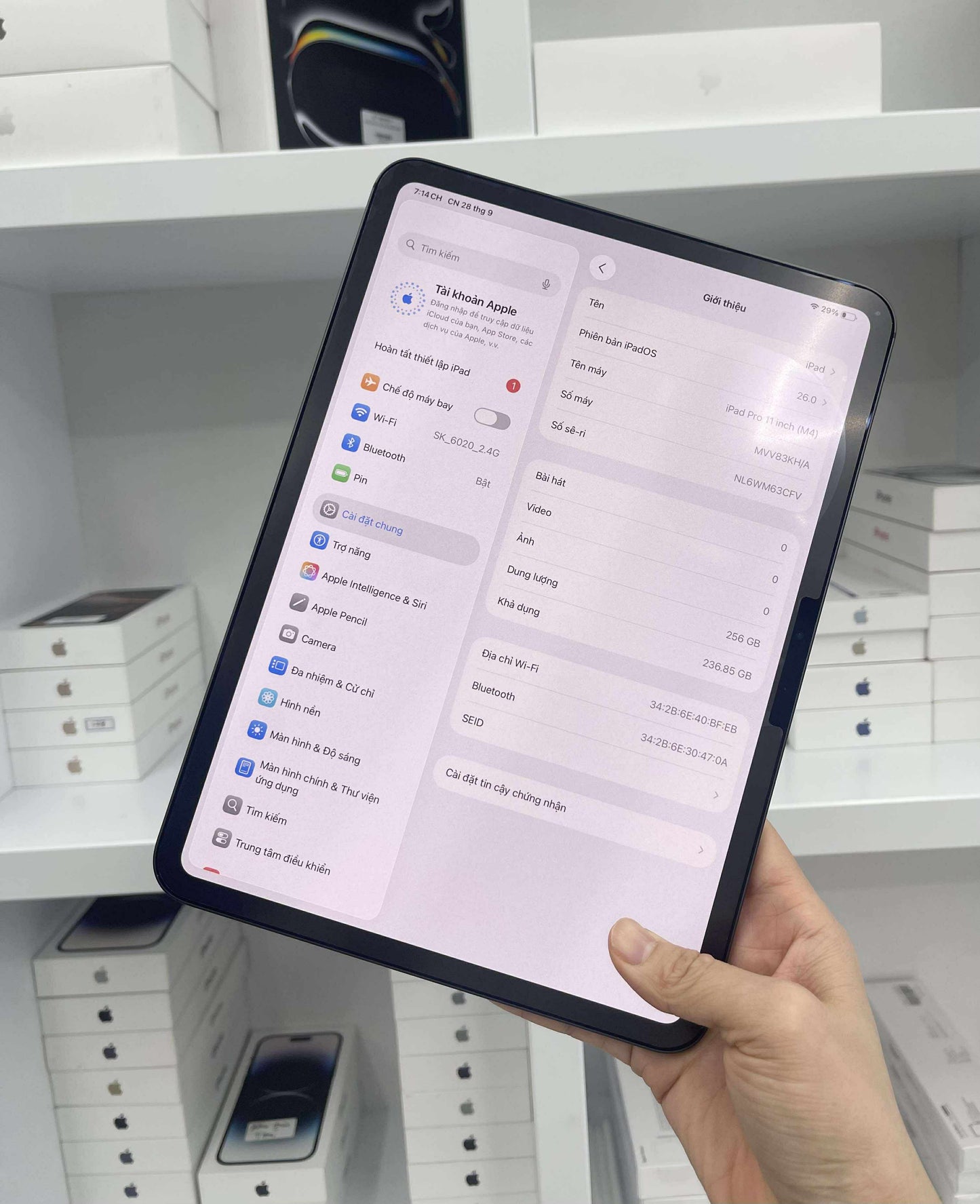 IPad Pro M4 bản 256GB Màu xám - Pin 98% - 63CFV