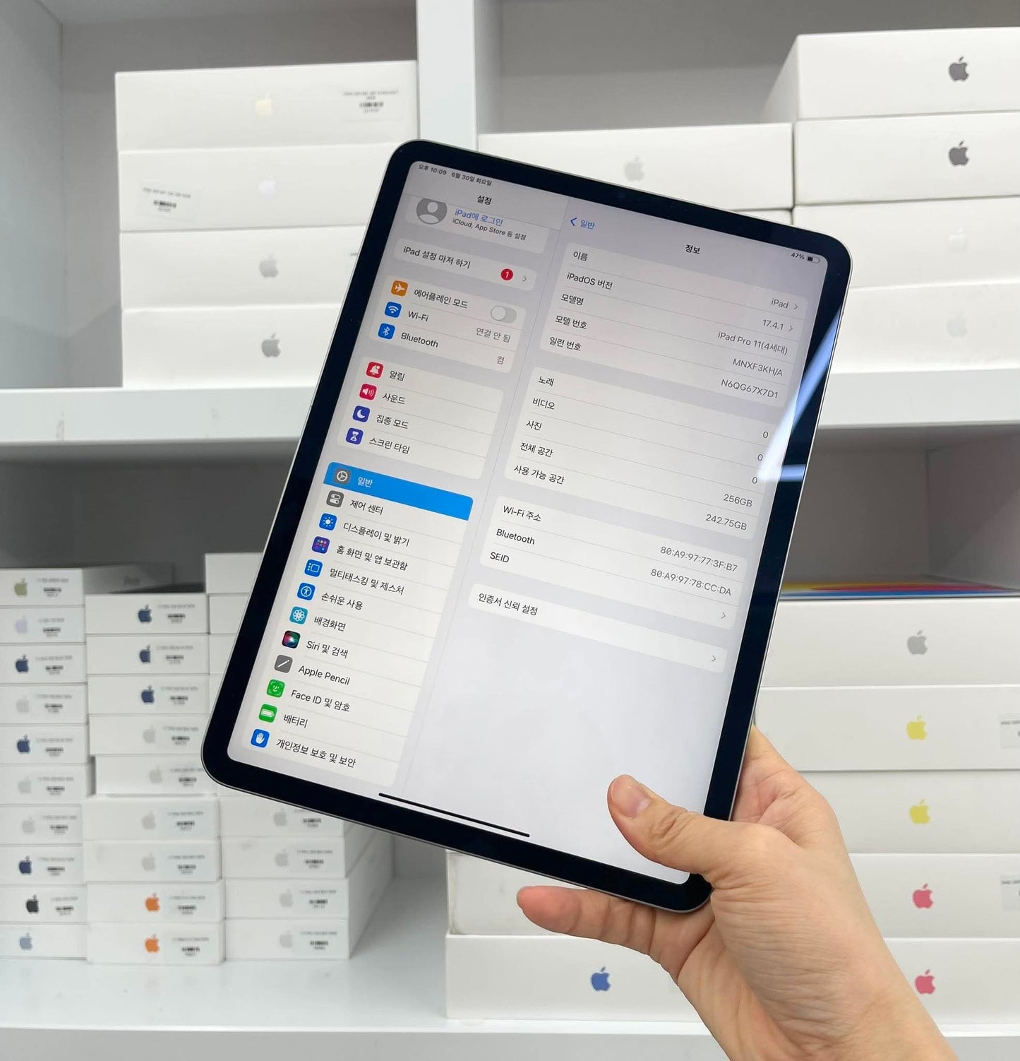 IPad pro m2 bản 256GB Màu xám - Pin 100% sạc 40 lần - 7X7D1