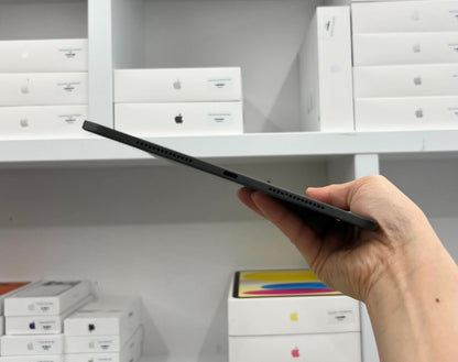IPAD PRO M5 256 DEN - Pin 100% - 0G4PT - A-